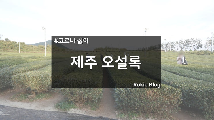  [국내여행] 제주 오설록 티 뮤지엄
