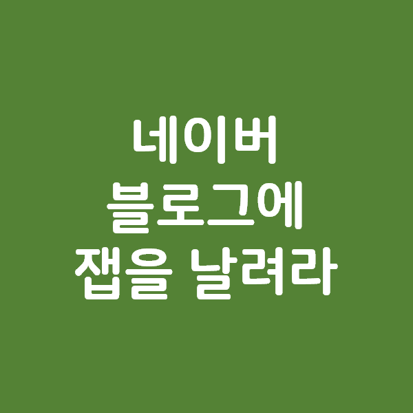 네이버 블로그에 잽을 날려라 - 대형키워드와 소형키워드 공략