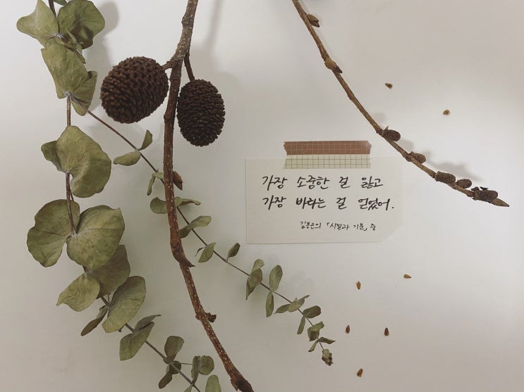  책장 속 한 줄: 김봉곤 '시절과 기분' 6