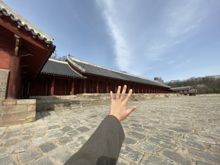  2020년 3월의 일상. (하)라고 쓰고 음식 일기
