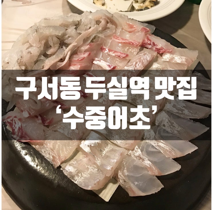 부산 구서동 두실역 맛집 수중어초 (회가 노무 맛있댠)