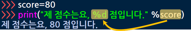  [코알못 Python] 2-1강. 기다리고, 입력을 받아주는 input 함수 사용법.