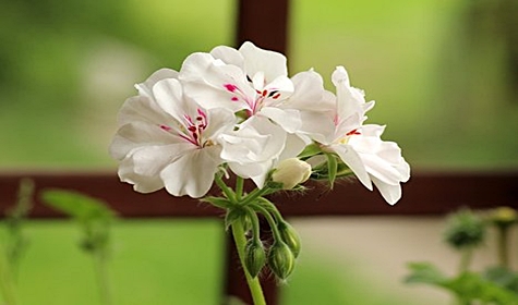  안산 수원 16주 18주 낙태수술 과정과 금액