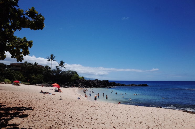  하와이 여행 어디까지 해봤니? Three Table Beach