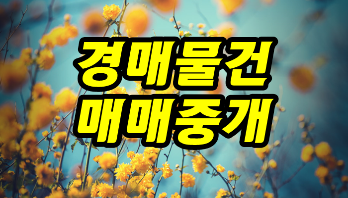  법원 임의경매개시 가압류 된 아파트 부동산 매매 중개사례