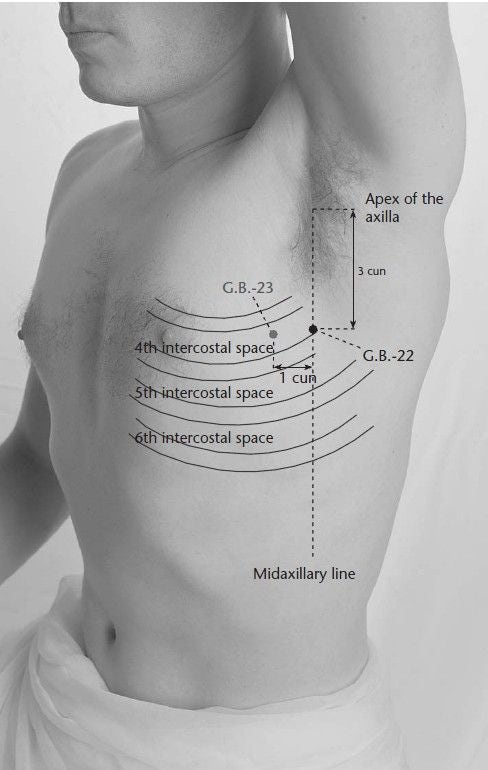 [통증/갈비뼈] 숨쉴때마다 옆구리 가슴쪽 갈비뼈가 아파요. - 늑간신경통, 갈비뼈통증(Intercostal neuralgia ...