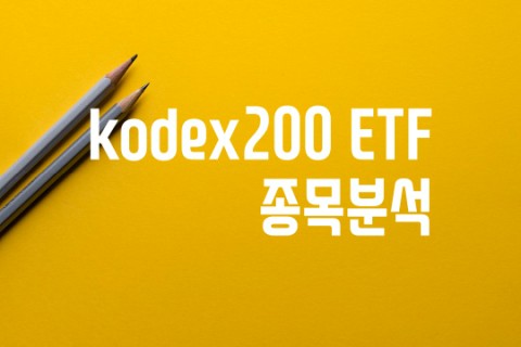 Kodex 코덱스 200 ETF 종목 분석