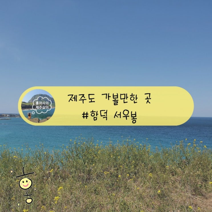 「제주도, 제주」 함덕해수욕장근처 유채꽃명소 서우봉 산책로 「제주도, 제주」 함덕해수욕장근처 유채꽃명소 서우봉 산책로