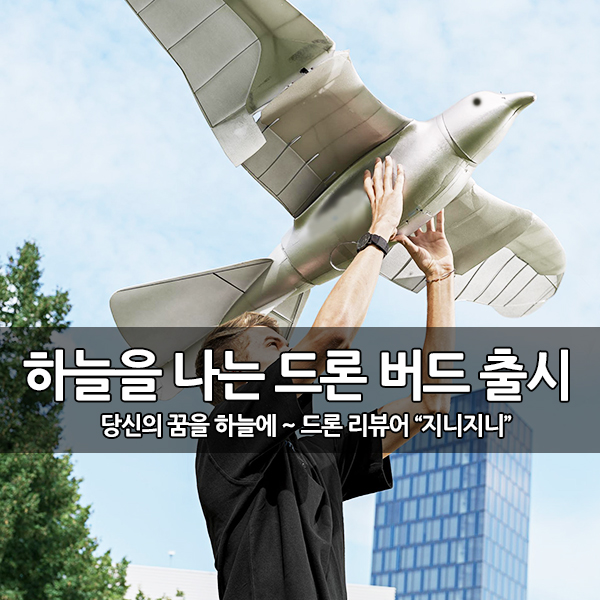 하늘을 나는 새 드론, 드론 버드(조류 드론) 개발 하늘을 나는 새 드론, 드론 버드(조류 드론) 개발
