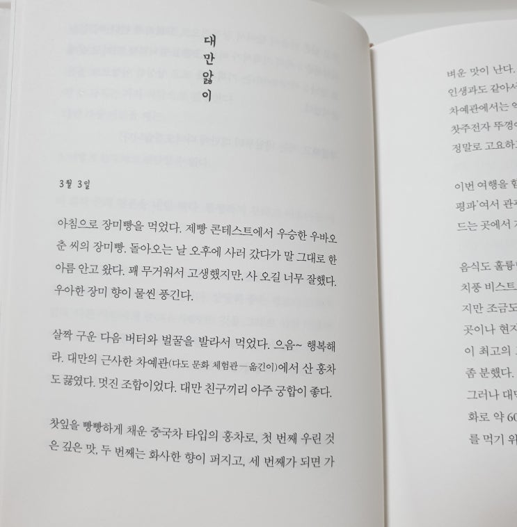  대만앓이,
