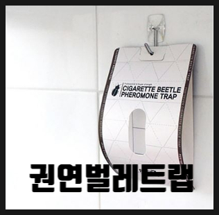  권연벌레 물림 고민이시라면? 해결방법 완벽 정리