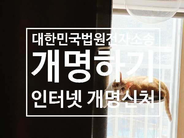 온라인 개명신청 성공사례!  !  !한국 법원 전자소송