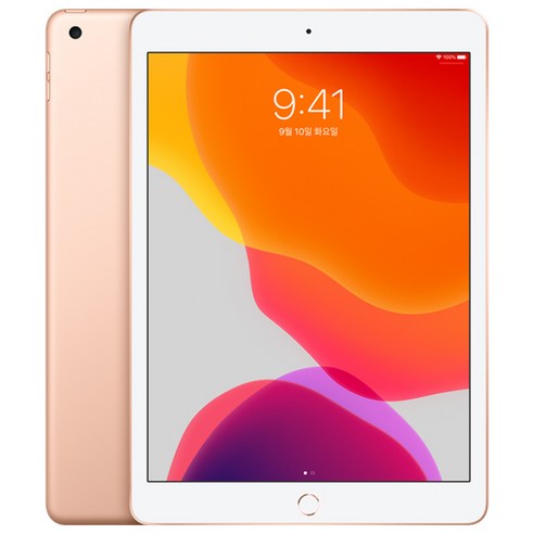  Apple 2019년 아이패드 10.2 7세대 WiFi 128GB