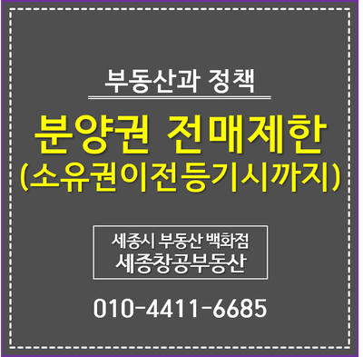  분양권 전매제한 강화 - 소유권이전등기시까지