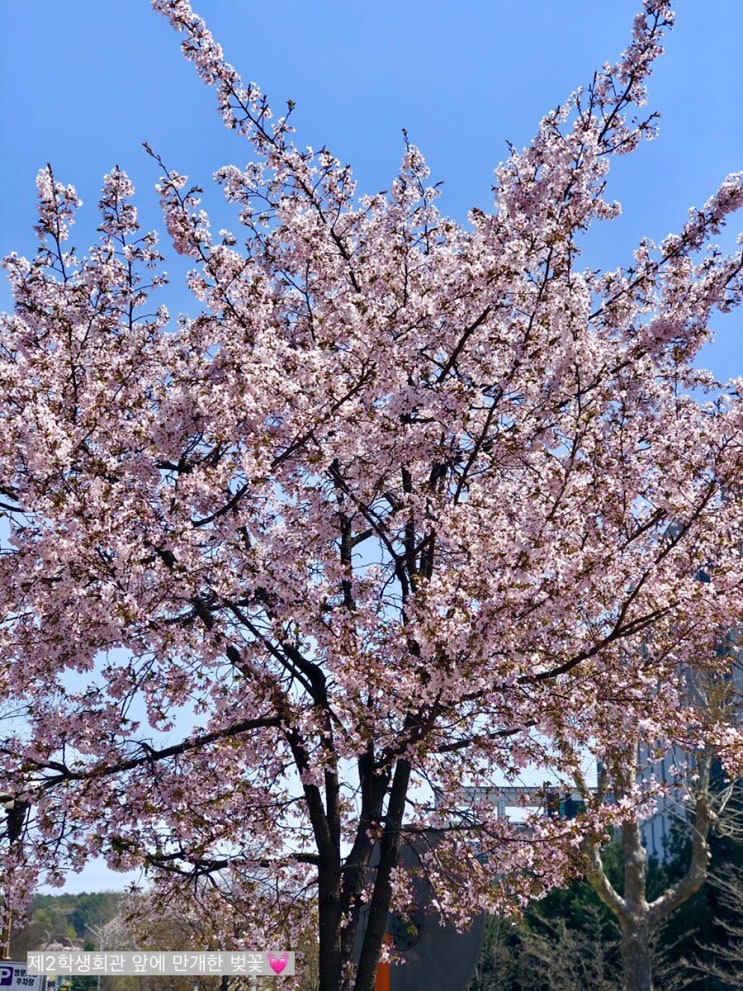 일상기록 시작 
