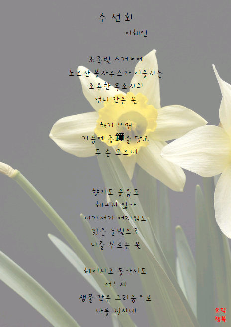  수선화꽃말
