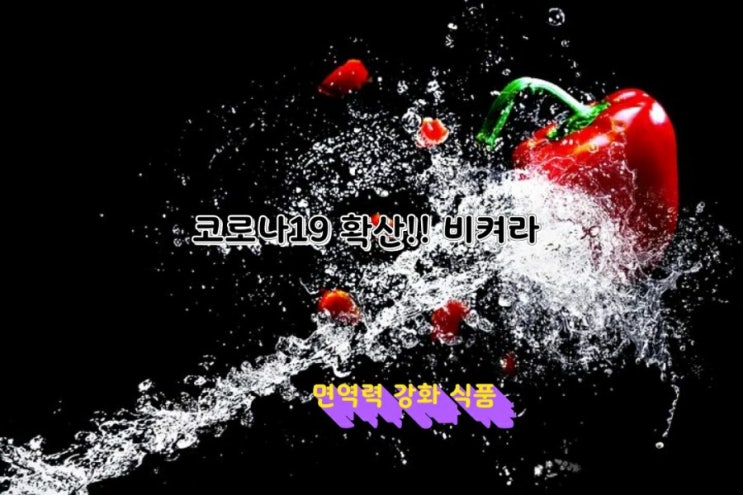 코로나19 확산 비켜!!면역력 강화 식품 코로나19 확산 비켜!!면역력 강화 식품