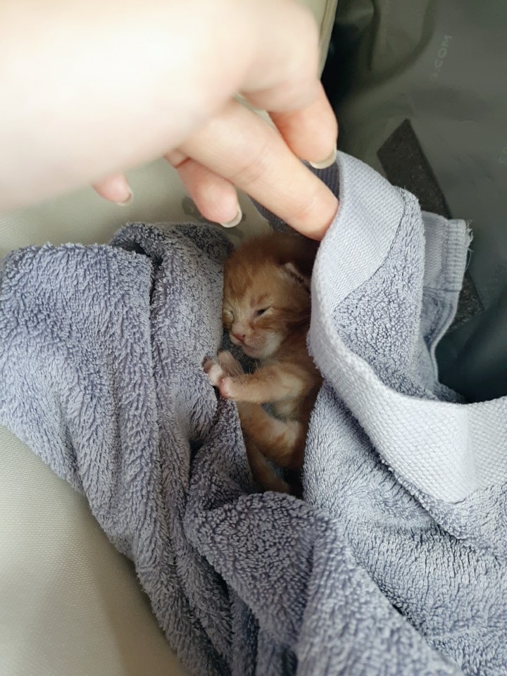  오..알비백이벤트해요