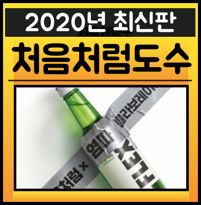 처음처럼 도수 플렉스 염따 지역 총정리판