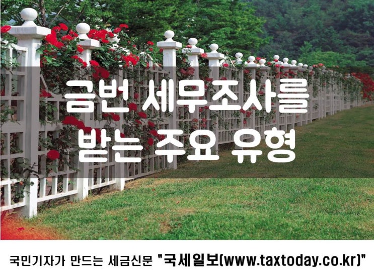  부동산 법인 설립, 신중하세요