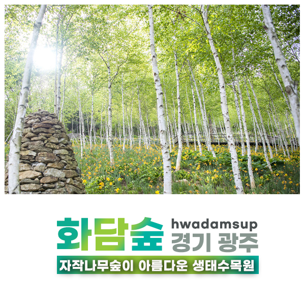 곤지암 화담숲, 자작나무숲이 아름다운 서울근교여행