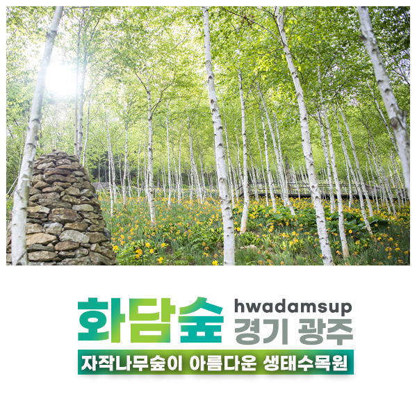  곤지암 화담숲, 자작나무숲이 아름다운 서울근교여행