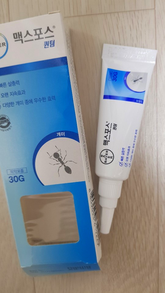  집개미퇴치 방역에 힘쓰기! 개미 없애는 노하우~!