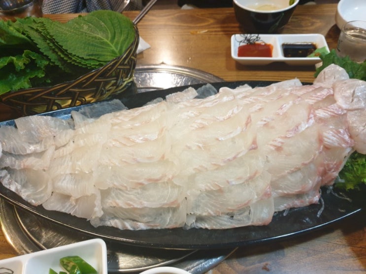  망원 망원동 횟집 쫀득한 대광어 맛집