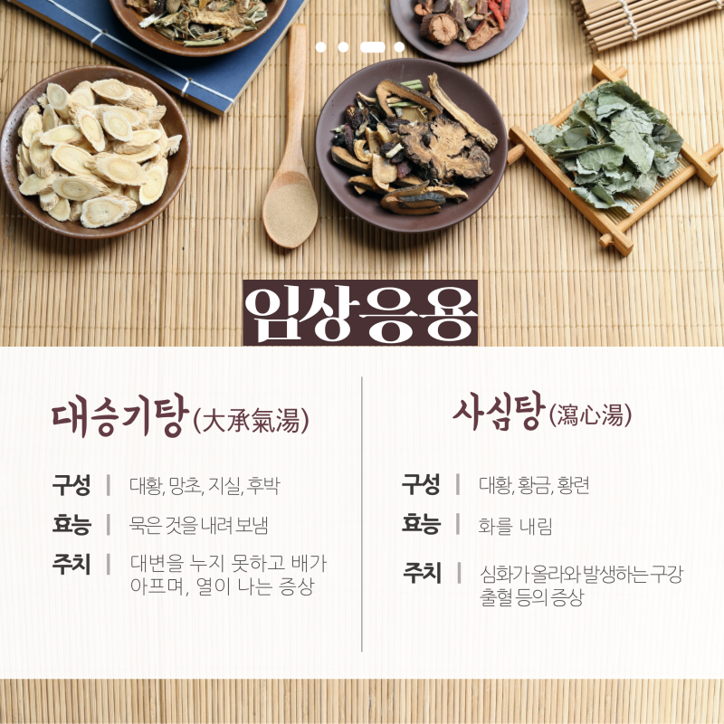 [한약학과생's 약초원] #40. 대황 : 네이버 블로그