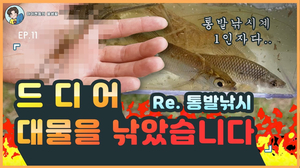 드디어 통발낚시로 대물을 낚았습니다!!/Korean River Prawn(fish trap) 드디어 통발낚시로 대물을 낚았습니다!!/Korean River Prawn(fish trap)