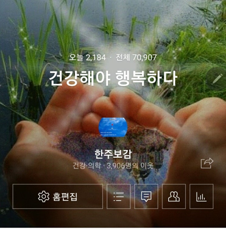 네이버 블러그 매일 1~2포스팅 효과