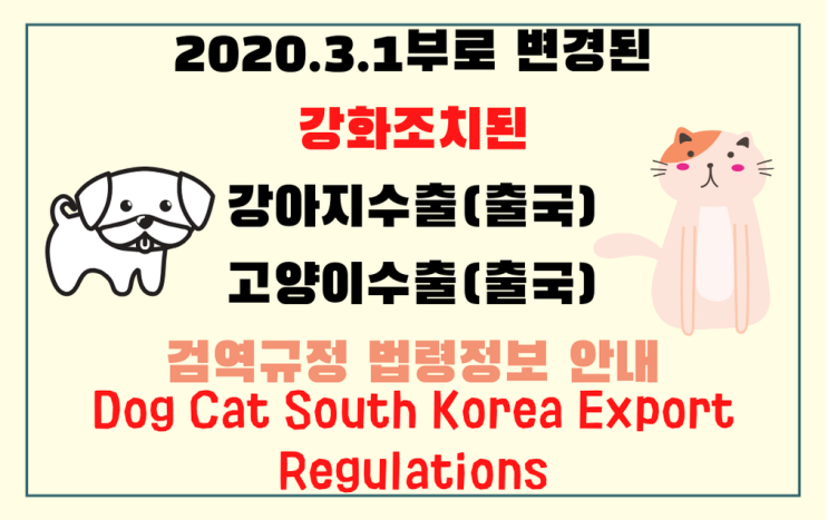 [3월1일]한국에서 고양이 강아지 해외 출국  검역규정 출국 입국 운송[제대로알려드립니다]대형견카고 코로나출.입국