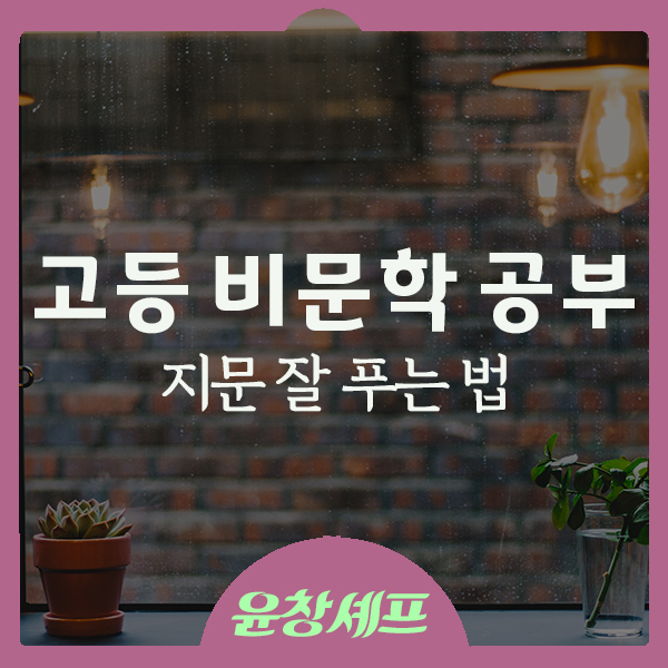  고3 수능 국어 비문학 공부법 잘 푸는 법 수능대비 내신대비