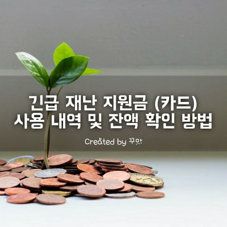  긴급재난지원금 사용내역 및 잔액 확인 방법