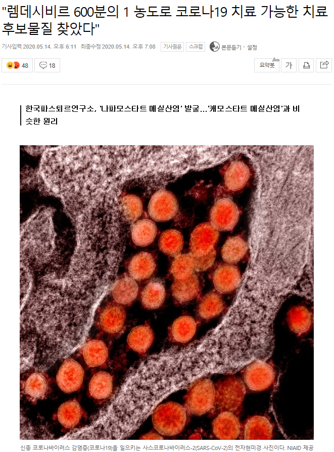 나파모스타트 카모스타트메실산염 관련주총정리 나파모스타트 카모스타트메실산염 관련주총정리