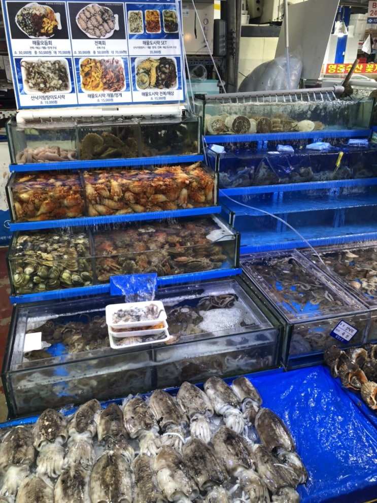  인어교주해적단 강서수산물도매시장 해산물 저렴하게