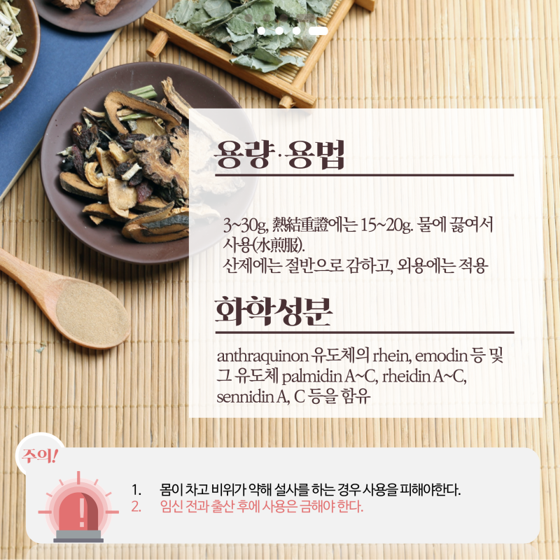 [한약학과생's 약초원] #40. 대황 : 네이버 블로그