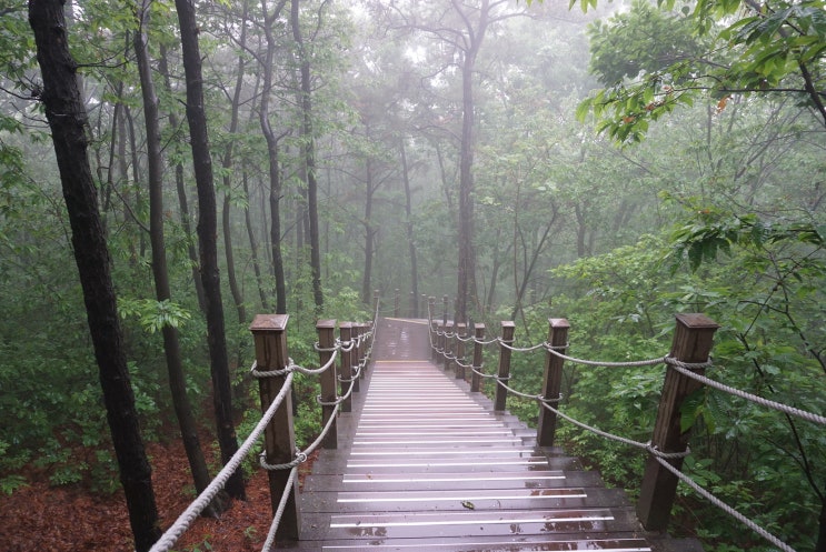  부락산 산책