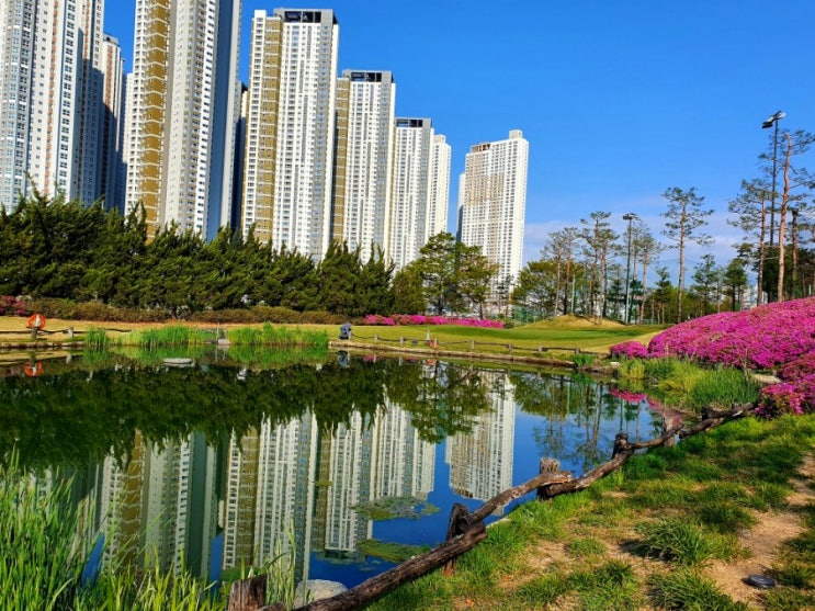  수원cc 파3 연습