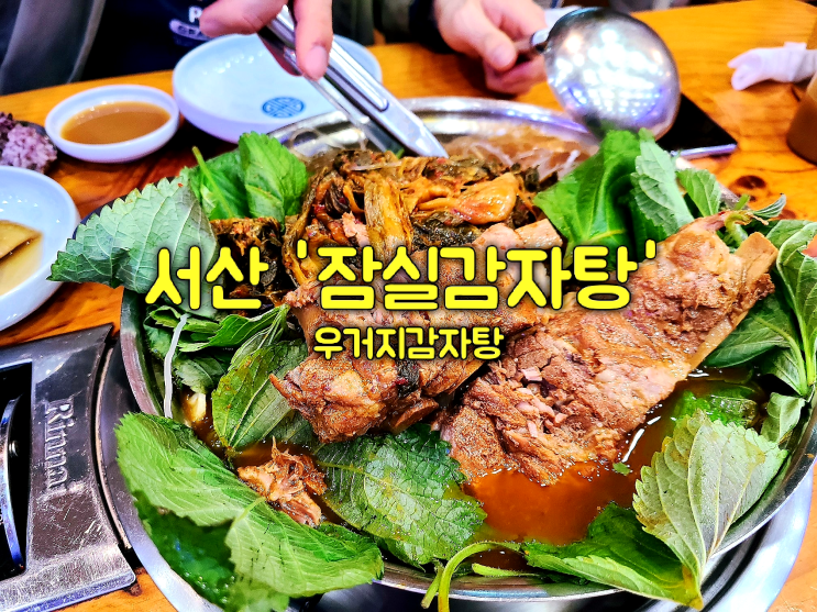 서산 감자탕 맛집 '잠실감자탕' 우거지감자탕