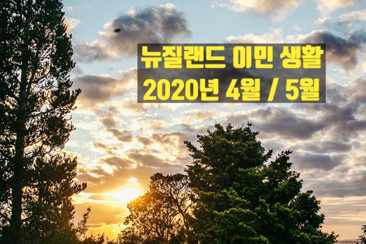 뉴질랜드 이민생활 일상이야기 2020년 4월 5월 / 뉴질랜드 영주권 워홀비자 업데이트