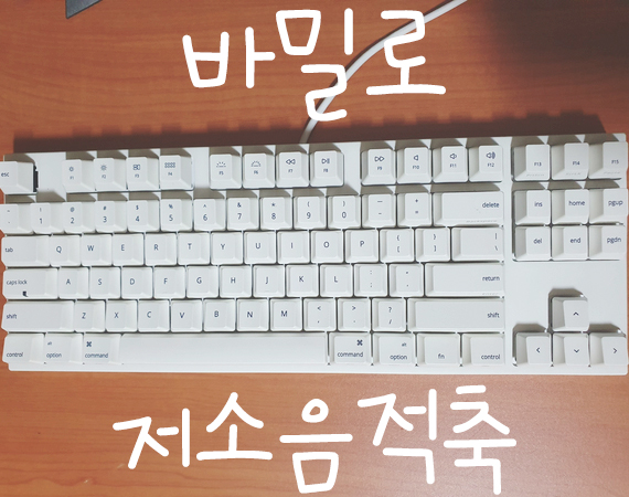 바밀로 저소음적축 키보드 6개월 사용기 / 기계식 키보드 사무실에서 쓸 수 있다!! / window도 호환가능!