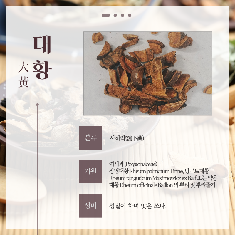 [한약학과생's 약초원] #40. 대황 : 네이버 블로그