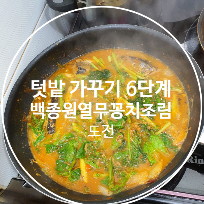  텃밭 가꾸기 6단계 열무 수확해서 백종원열무꽁치조림 도전 ~