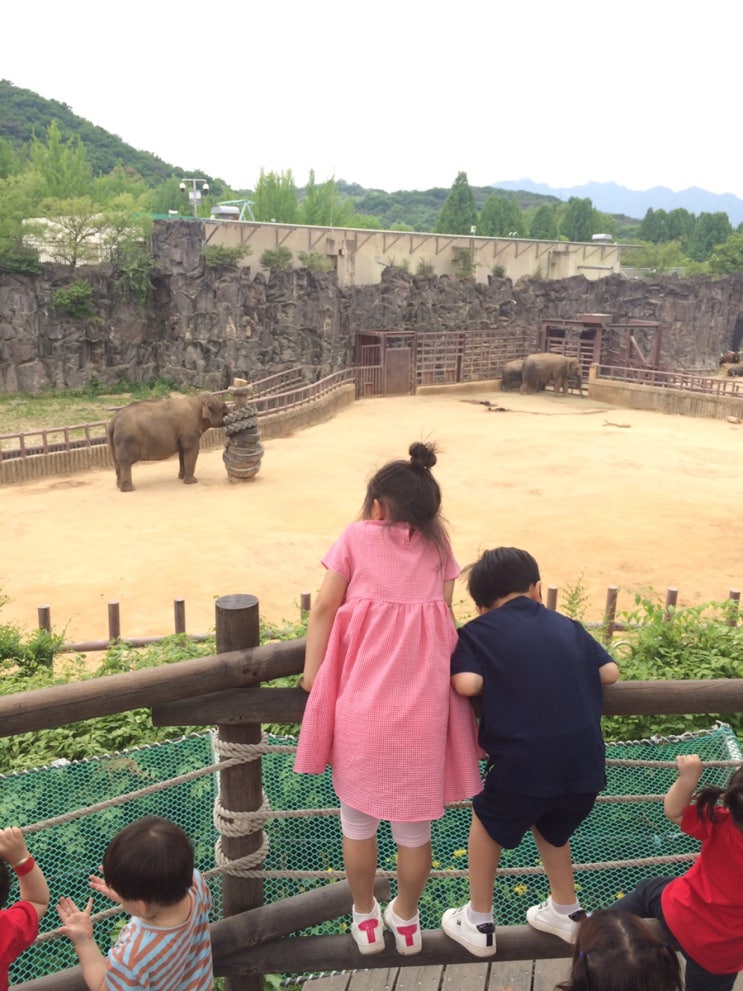 슬쌍디아빠 과거로의 산책(2019.05.17.) 육아일기 FILE 164 / 서울대공원