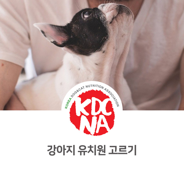  [반려인이 알아야할 필수 정보] 강아지 유치원의 장점과 고르는 방법_540