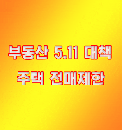  부동산511대책 아파트매매 분양권 전매제한