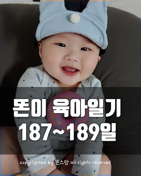  6개월 아기 육아일기  187일~189일