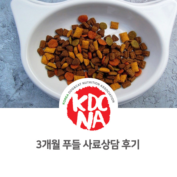  [반려동물 영양 상담 카운셀링] 한국반려동물영양협회 박은정 펫영양사 : 3개월 푸들 사료상담 후기_258