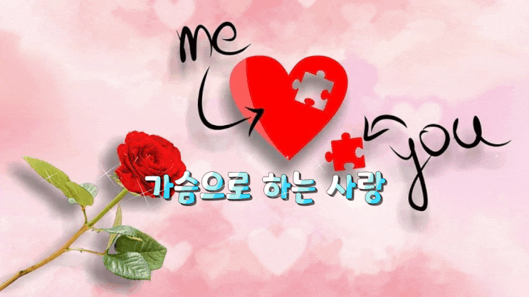 가슴으로 하는 사랑 가슴으로 하는 사랑